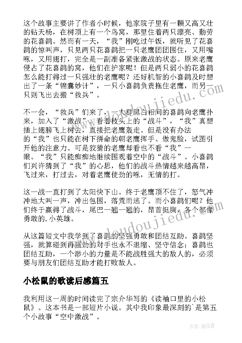 小松鼠的歌读后感(优质5篇)