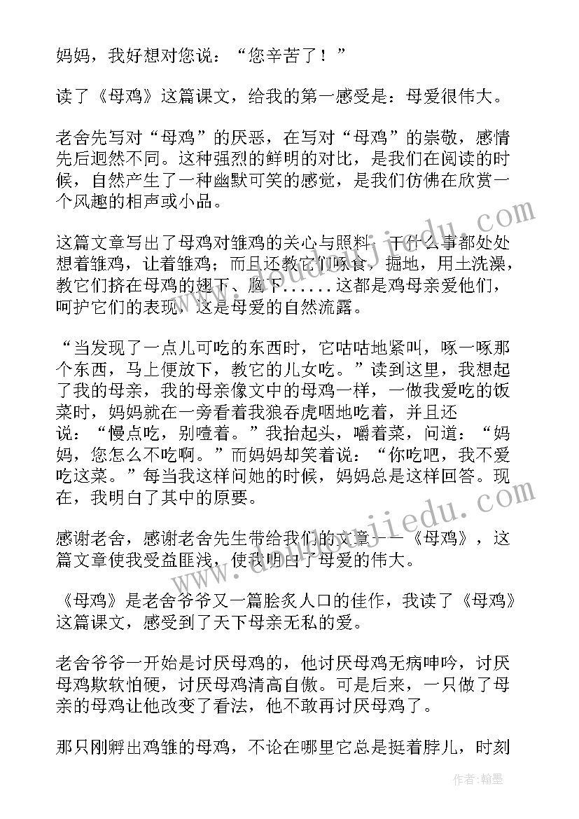 老舍母鸡的读后感(通用5篇)