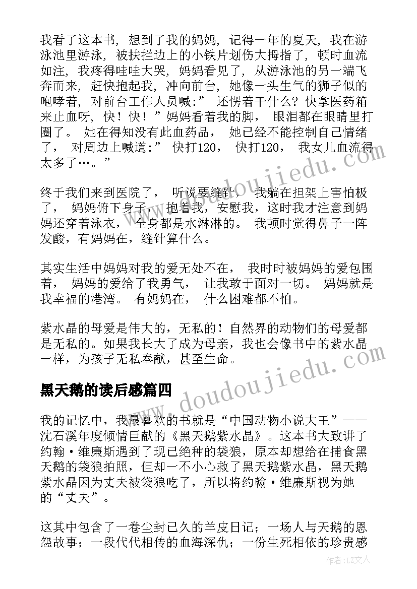 最新黑天鹅的读后感 黑天鹅紫水晶读后感(汇总6篇)