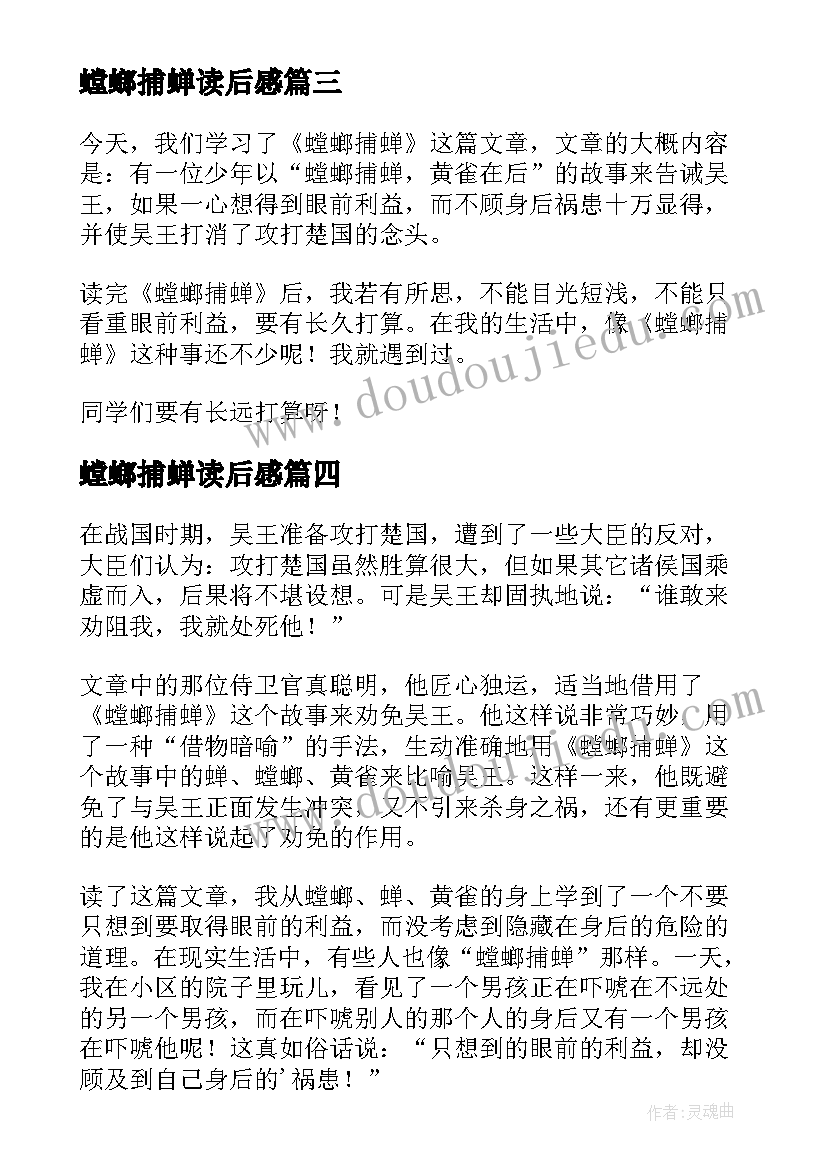 螳螂捕蝉读后感(精选5篇)