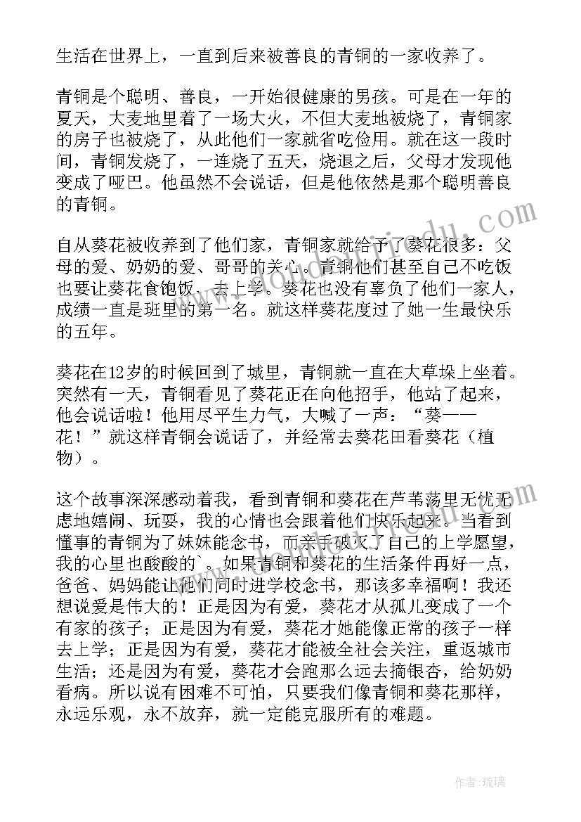 2023年青铜器读后感(实用5篇)