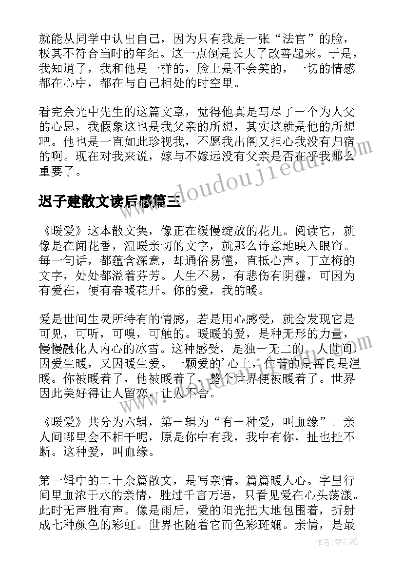 2023年迟子建散文读后感(大全5篇)