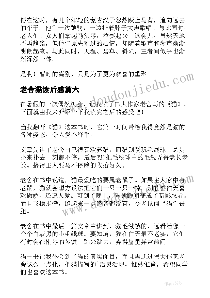 最新老舍猫读后感(汇总6篇)