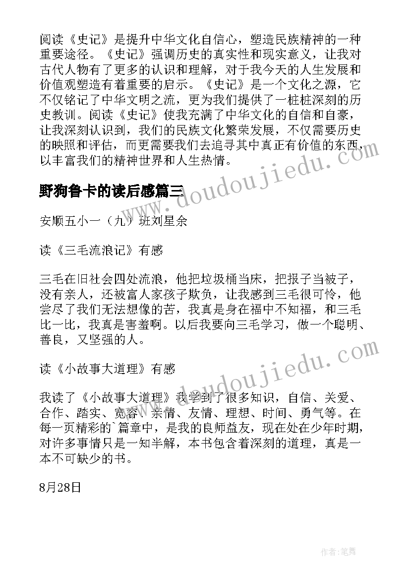 野狗鲁卡的读后感(大全5篇)