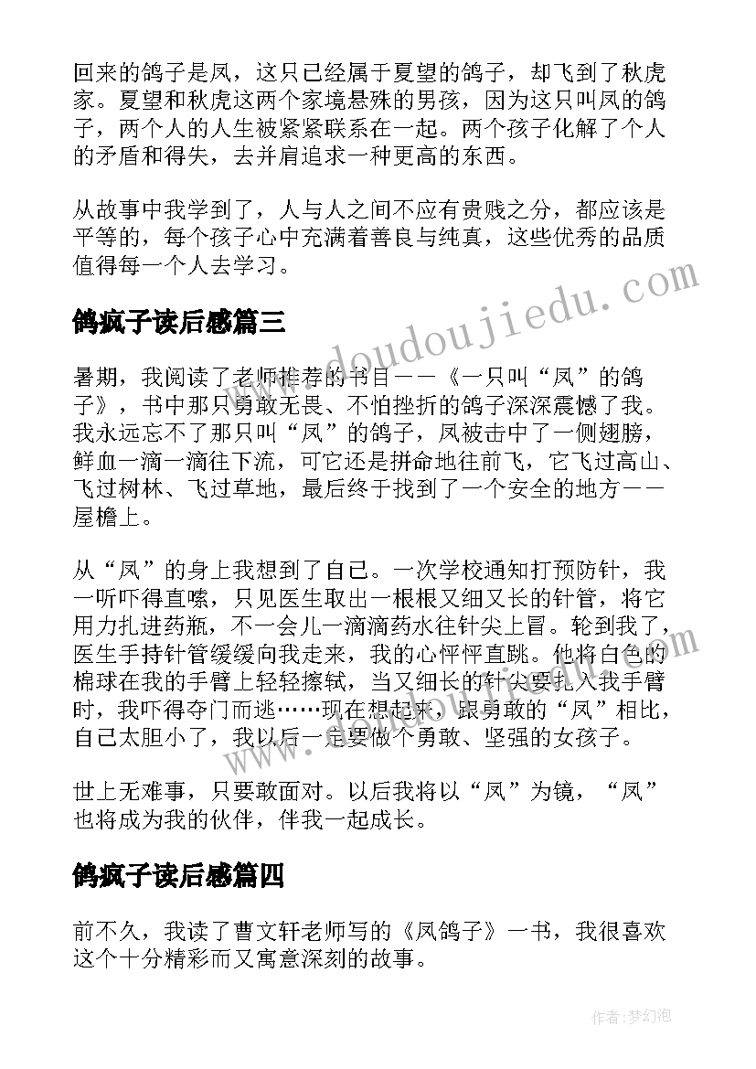 鸽疯子读后感 一只叫凤的鸽子读后感(精选8篇)