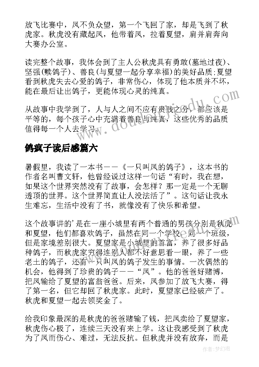 鸽疯子读后感 一只叫凤的鸽子读后感(精选8篇)