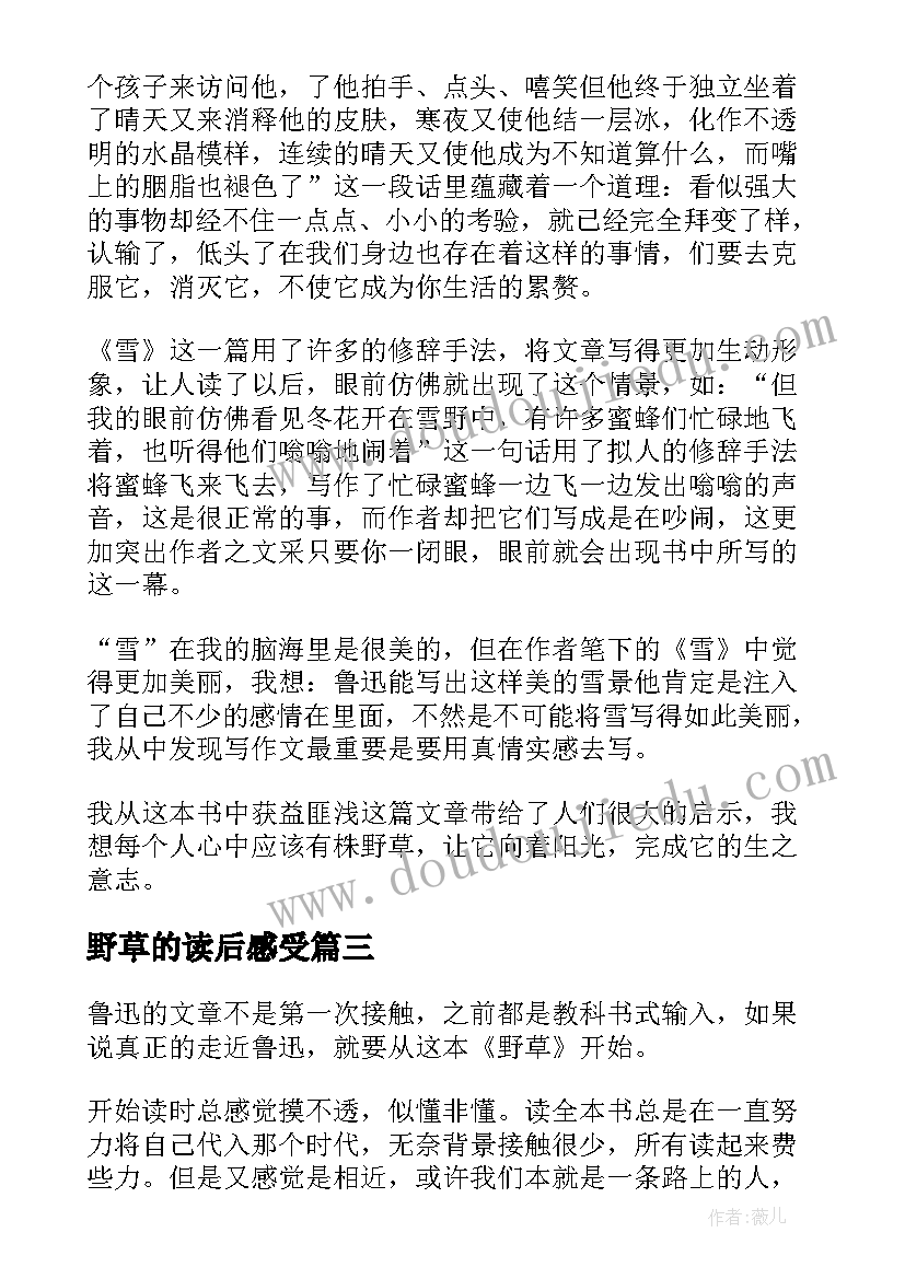 2023年野草的读后感受(大全9篇)