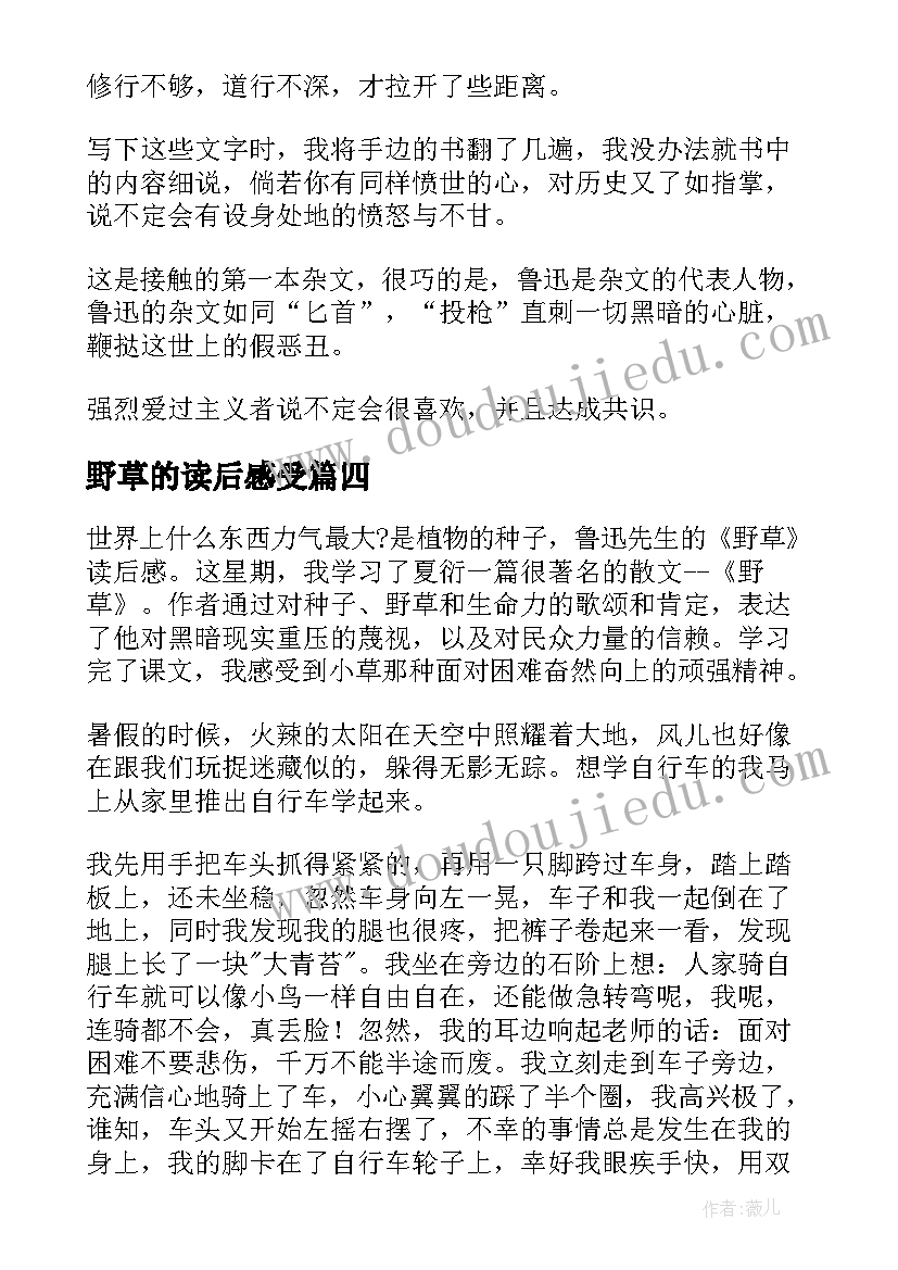 2023年野草的读后感受(大全9篇)