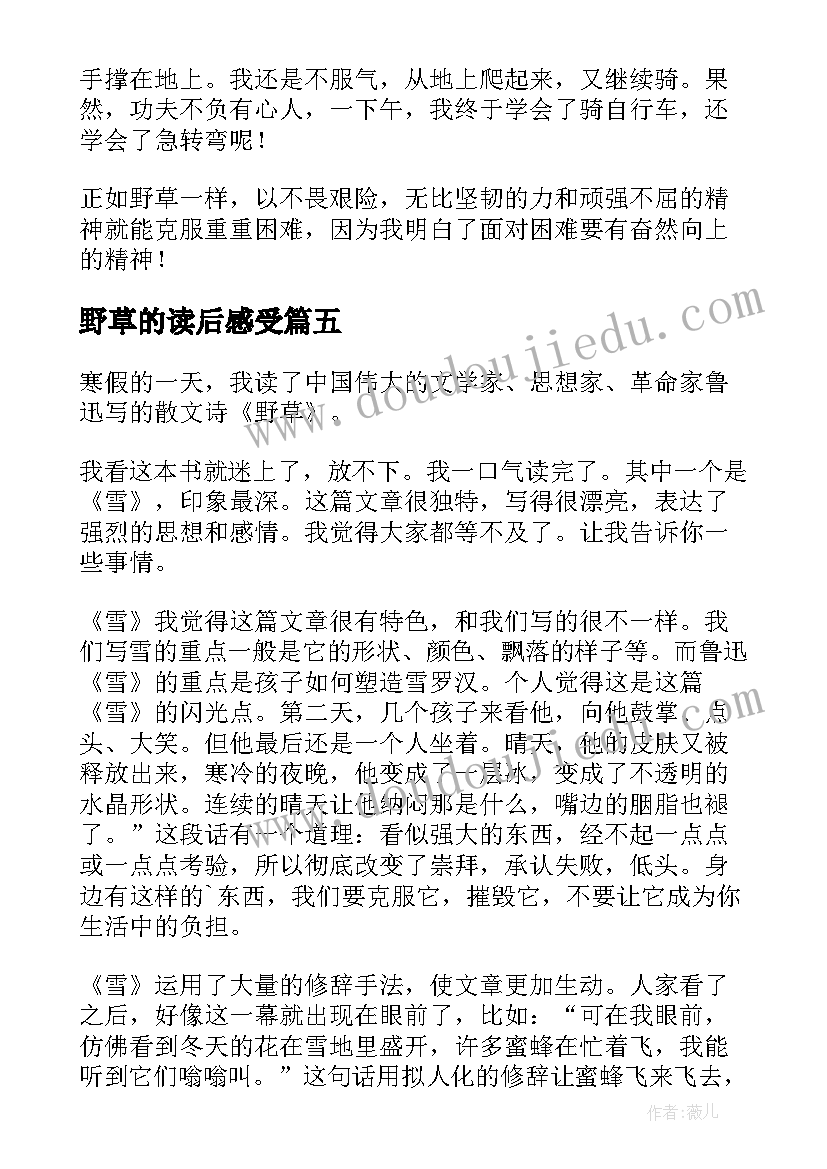 2023年野草的读后感受(大全9篇)