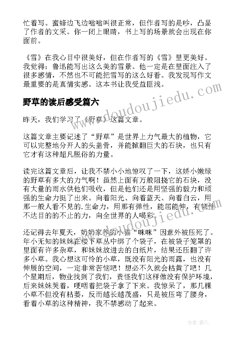 2023年野草的读后感受(大全9篇)