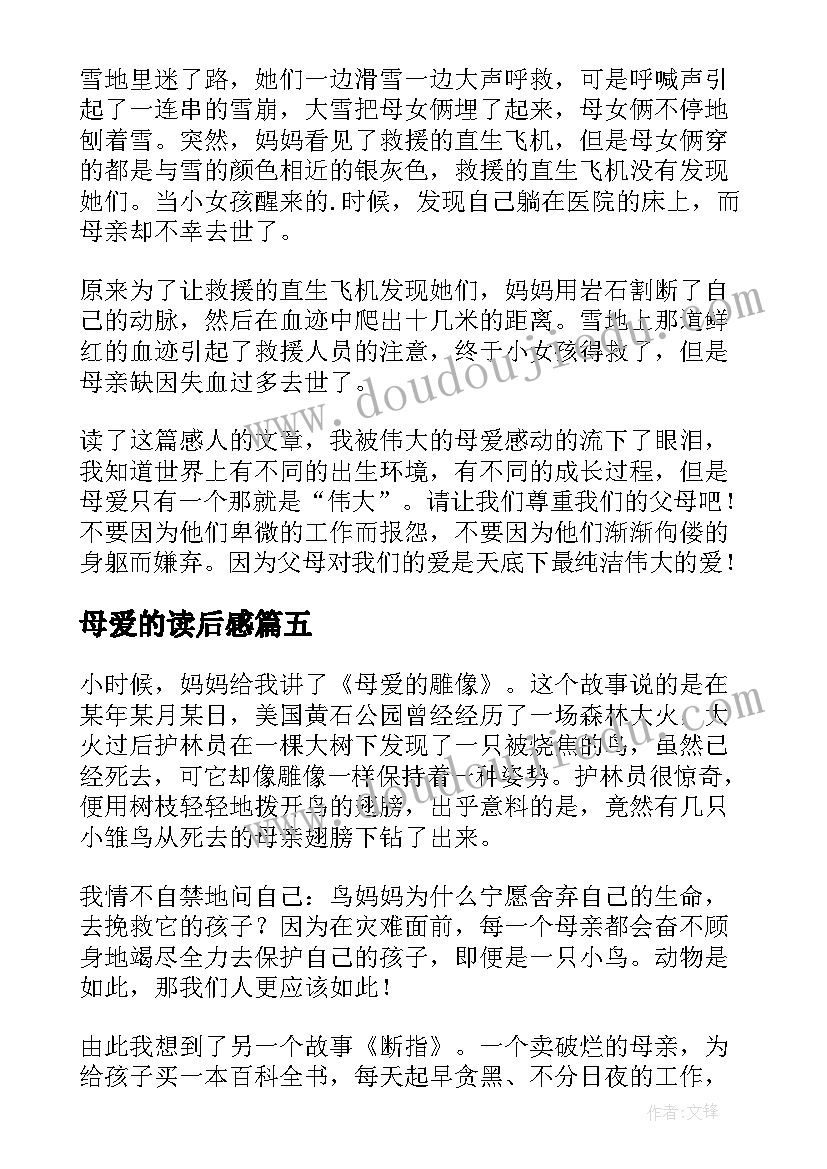 2023年母爱的读后感(精选9篇)