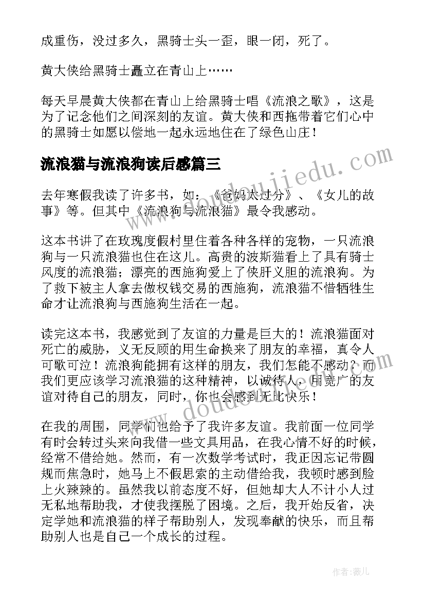 最新流浪猫与流浪狗读后感 流浪狗和流浪猫读后感(精选6篇)