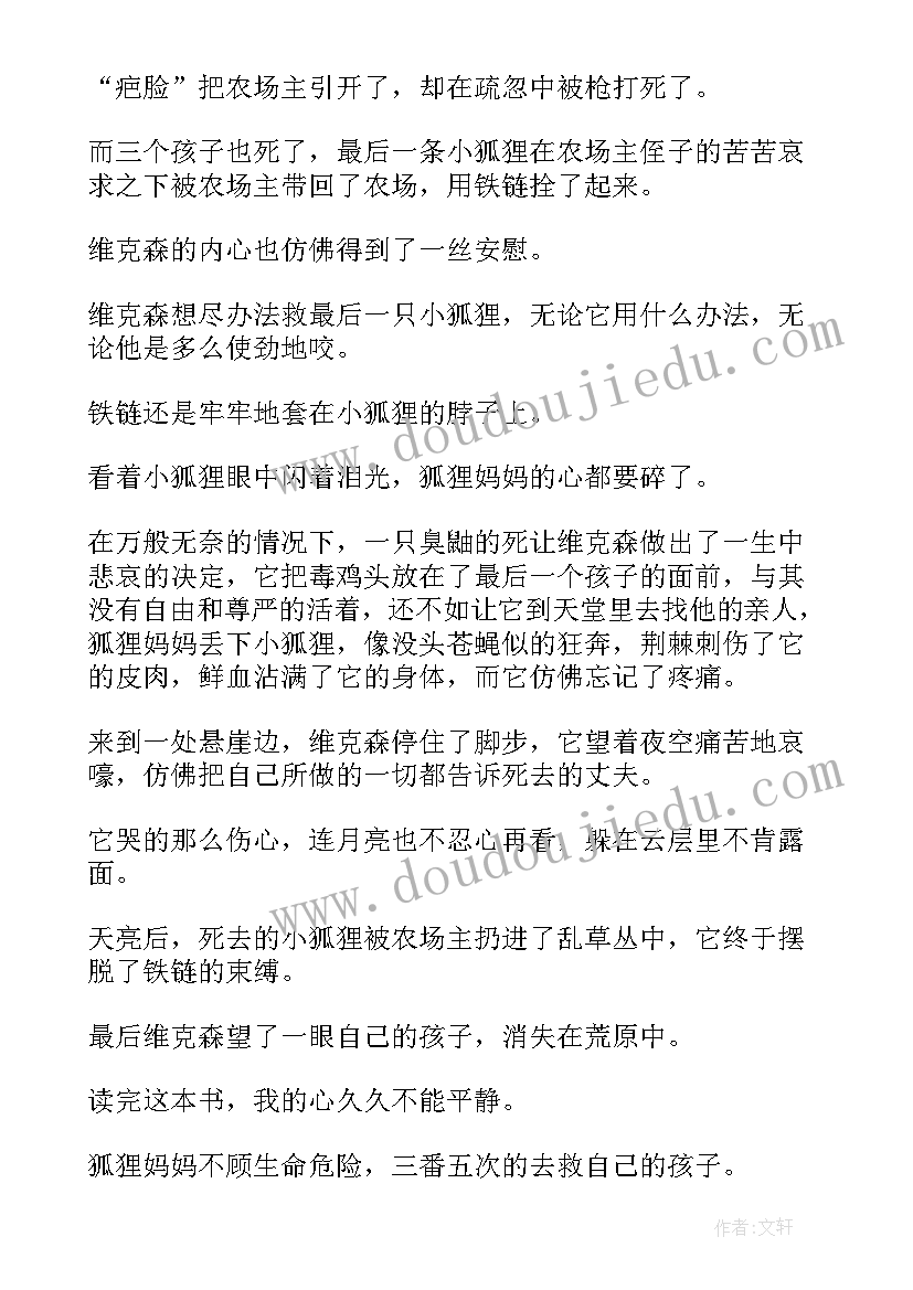 最新春田狐的爱读后感(通用5篇)