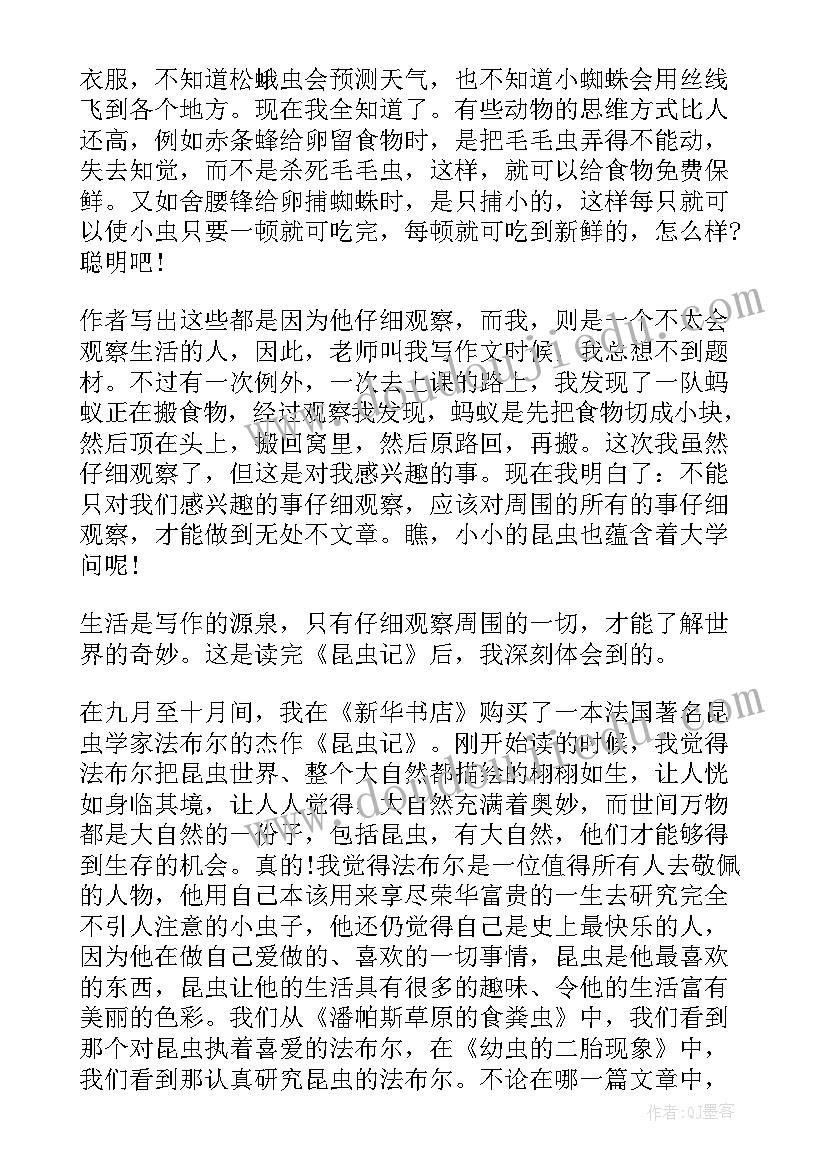 2023年螳螂的读后感受 螳螂捕食的读后感(模板7篇)