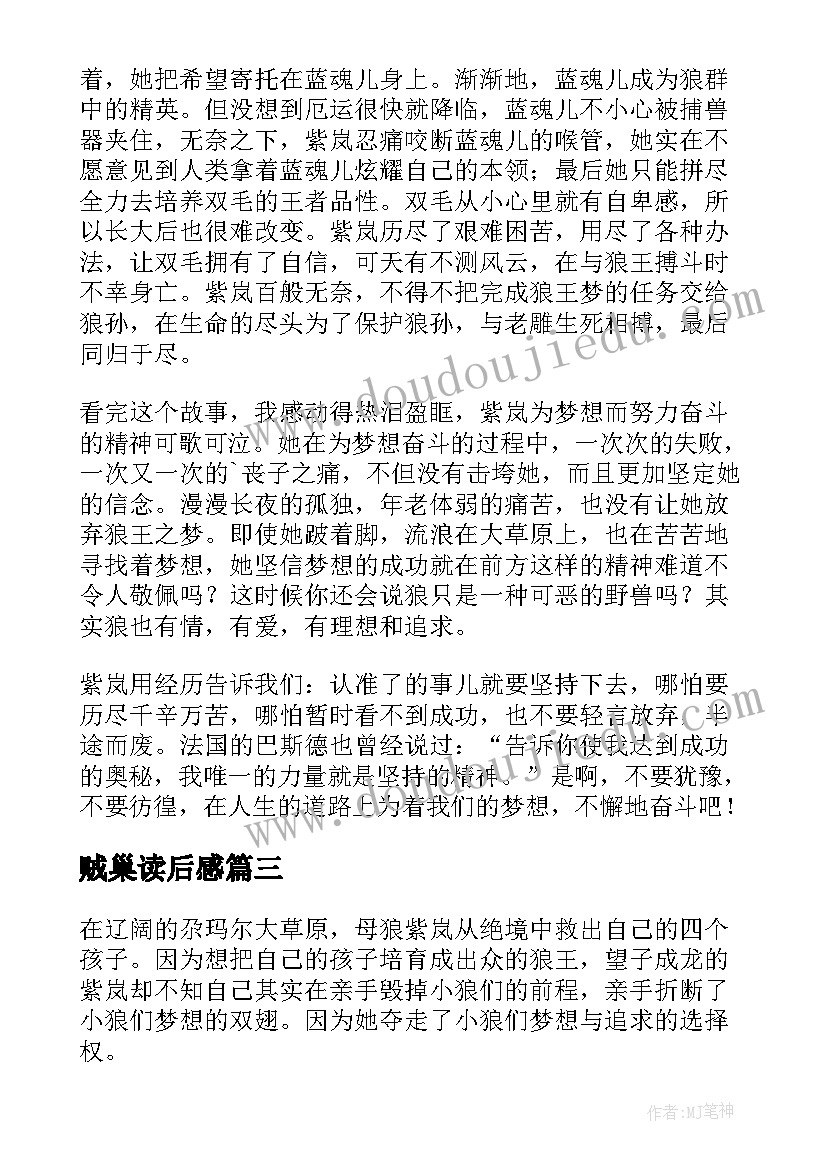 最新贼巢读后感 一本书心得体会读后感(汇总5篇)