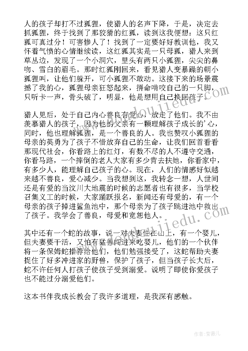 2023年神秘的小树林读后感(实用5篇)