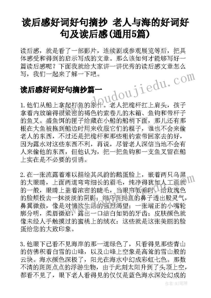 读后感好词好句摘抄 老人与海的好词好句及读后感(通用5篇)