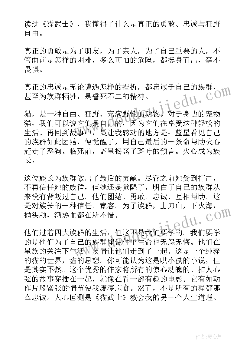 最新读猫的读后感 猫武士三年级读后感读猫武士有感(实用5篇)