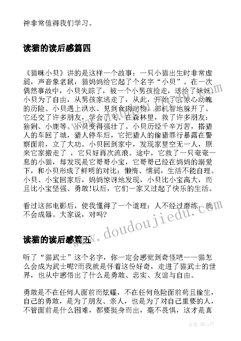 最新读猫的读后感 猫武士三年级读后感读猫武士有感(实用5篇)