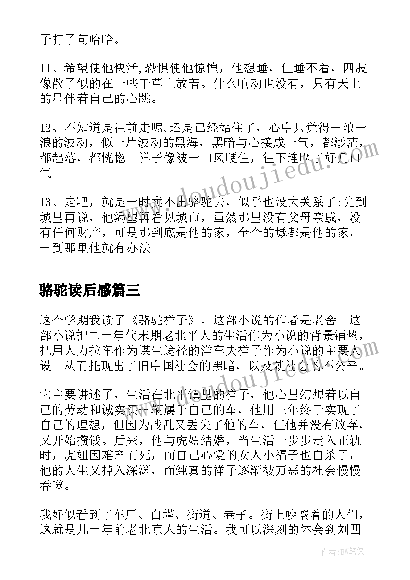 最新骆驼读后感(实用5篇)