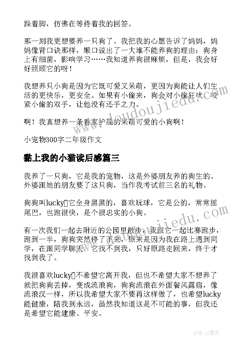 2023年黏上我的小猫读后感 小宠物三年级我的小猫(通用5篇)