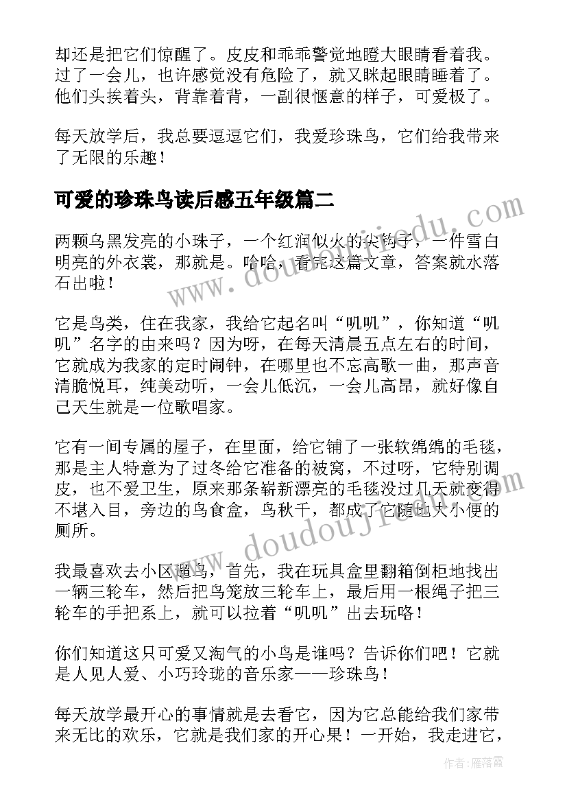 可爱的珍珠鸟读后感五年级(优质5篇)