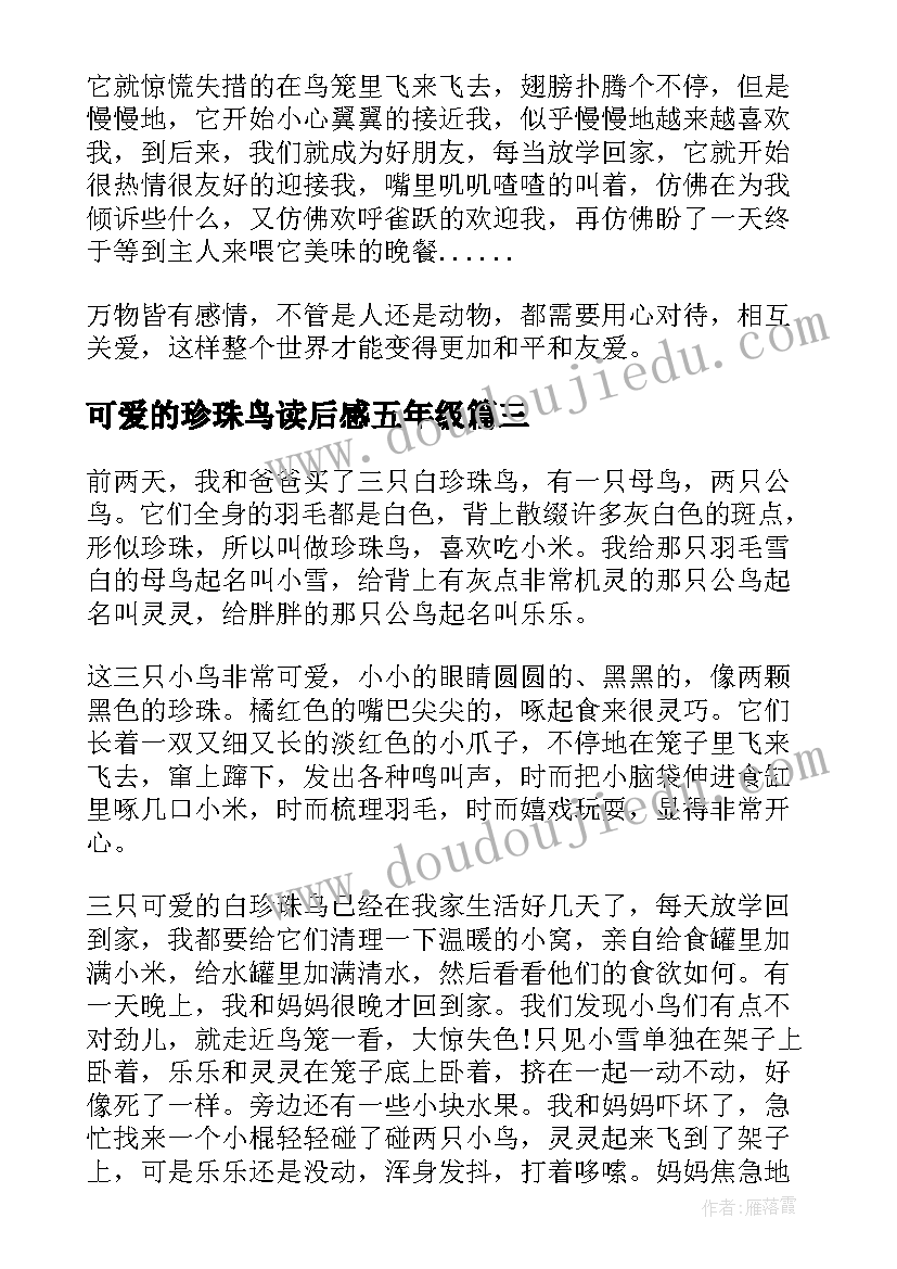 可爱的珍珠鸟读后感五年级(优质5篇)