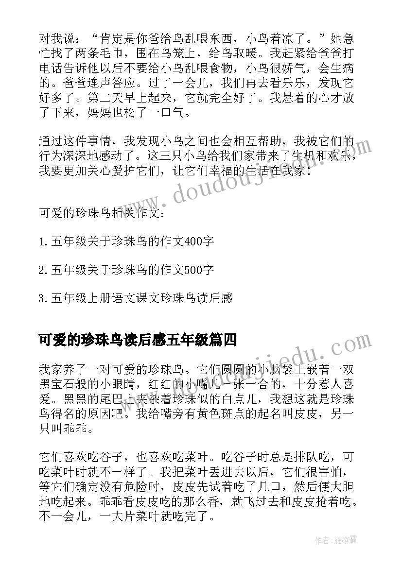 可爱的珍珠鸟读后感五年级(优质5篇)