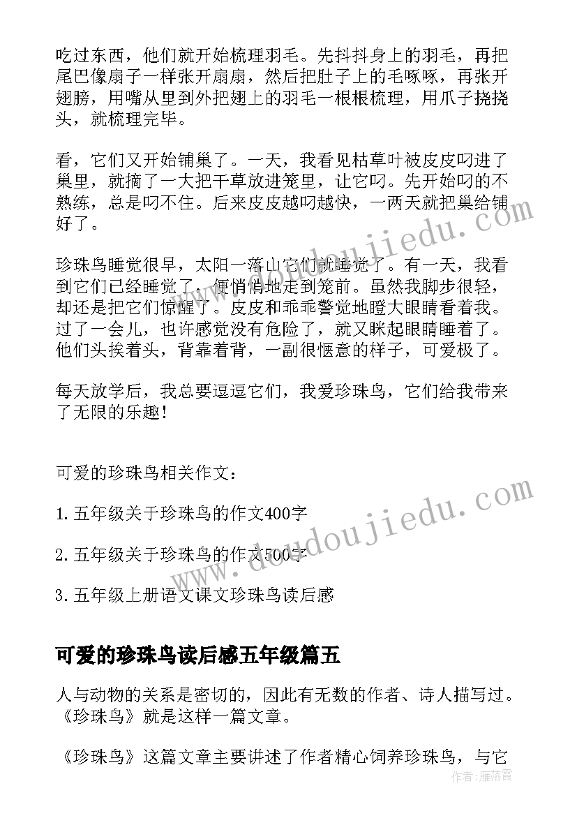 可爱的珍珠鸟读后感五年级(优质5篇)