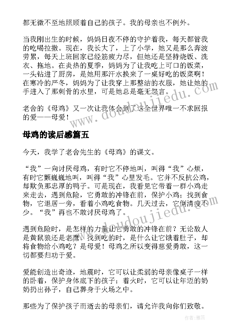 2023年母鸡的读后感(优质7篇)