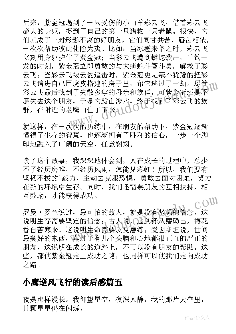 2023年小鹰逆风飞行的读后感 小鹰逆风飞行读后感(模板5篇)