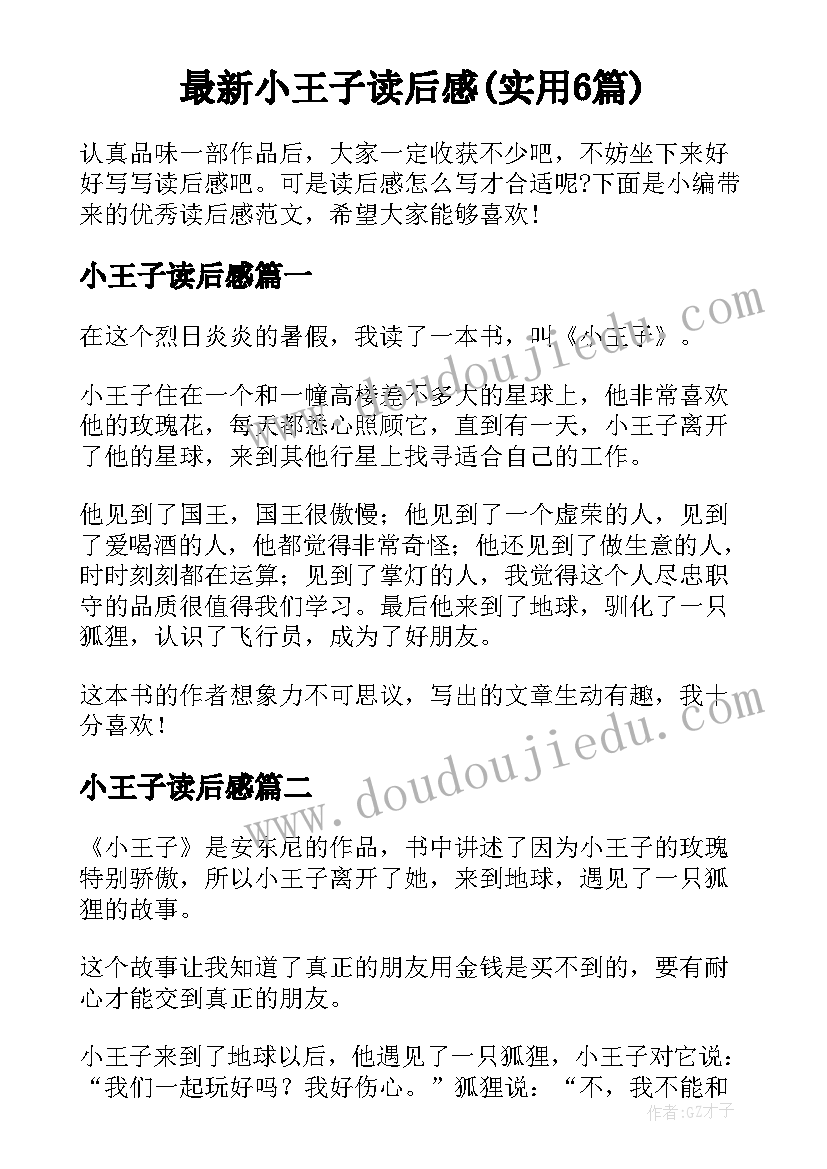 最新小王子读后感(实用6篇)