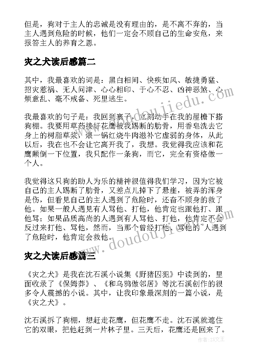 最新灾之犬读后感(汇总5篇)