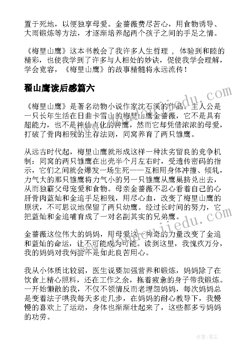 2023年翟山鹰读后感 梅里山鹰读后感(实用7篇)