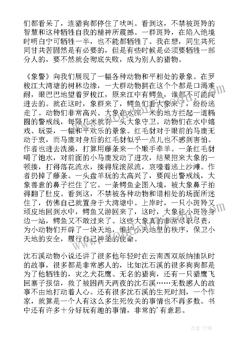 最新沈石溪小说读后感一点(优秀5篇)