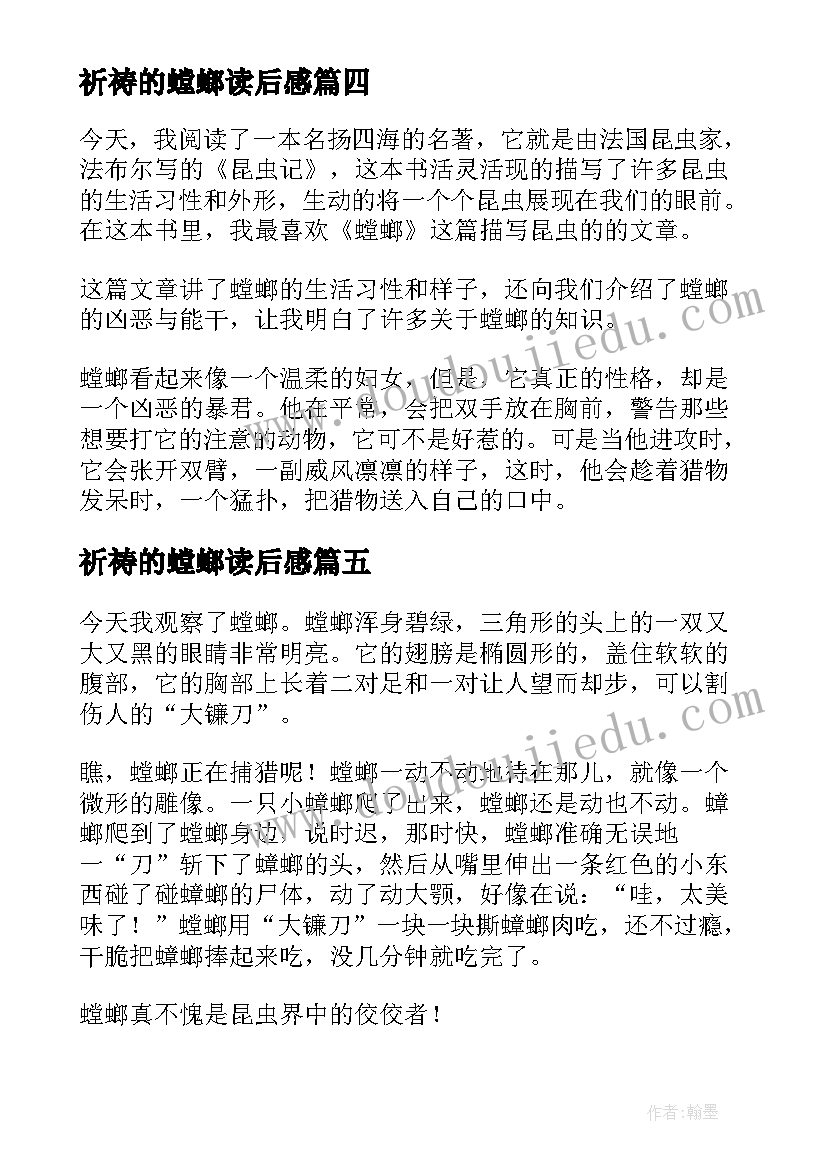 祈祷的螳螂读后感(模板7篇)