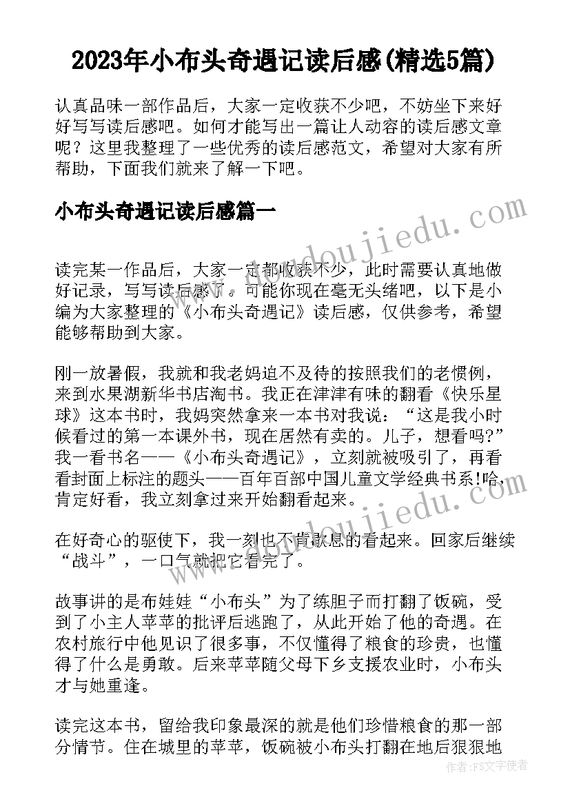 2023年小布头奇遇记读后感(精选5篇)