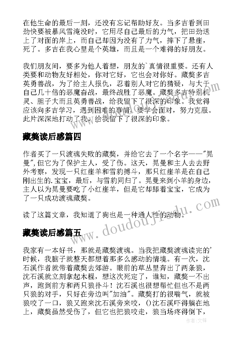 2023年藏獒读后感(汇总5篇)