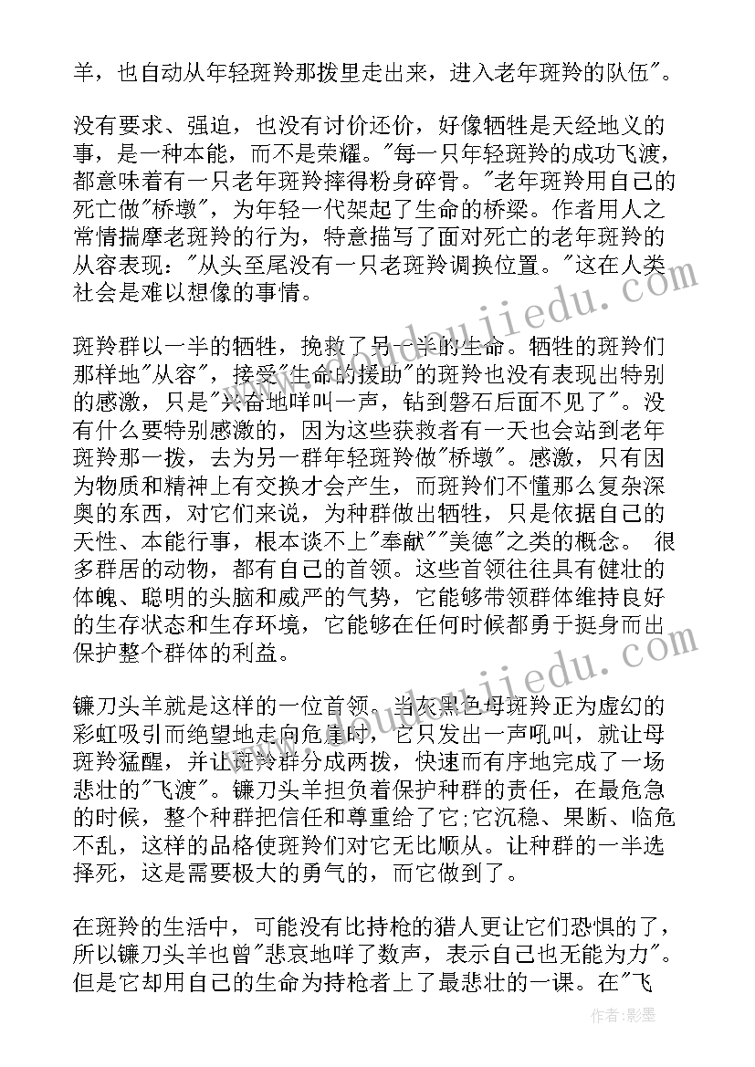 2023年斑羚飞渡的读后感 斑羚飞渡读后感斑羚飞渡读后感(模板7篇)