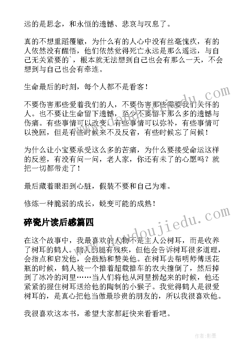 2023年碎瓷片读后感(实用5篇)