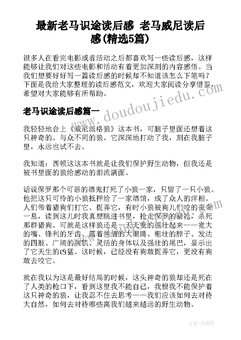 最新老马识途读后感 老马威尼读后感(精选5篇)