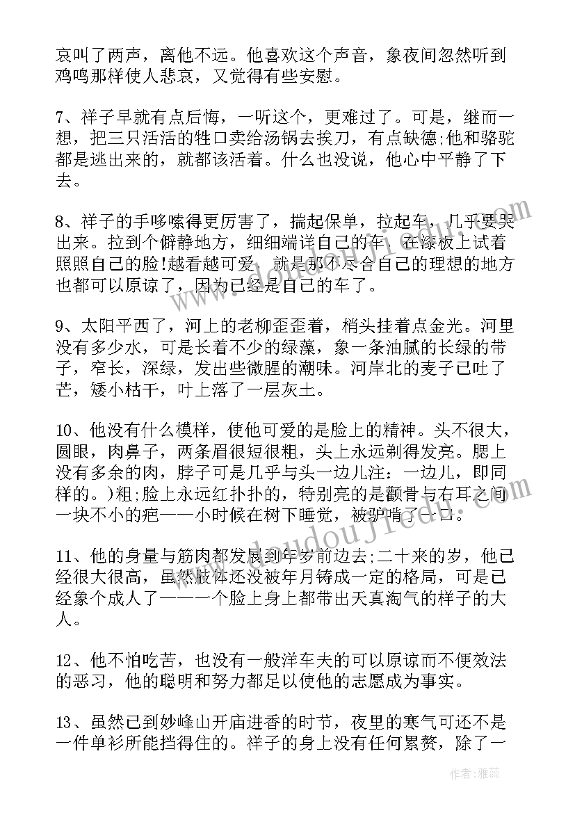 最新琐记好词好句好段及读后感 小学生骆驼祥子好词好句好段读后感(优秀5篇)