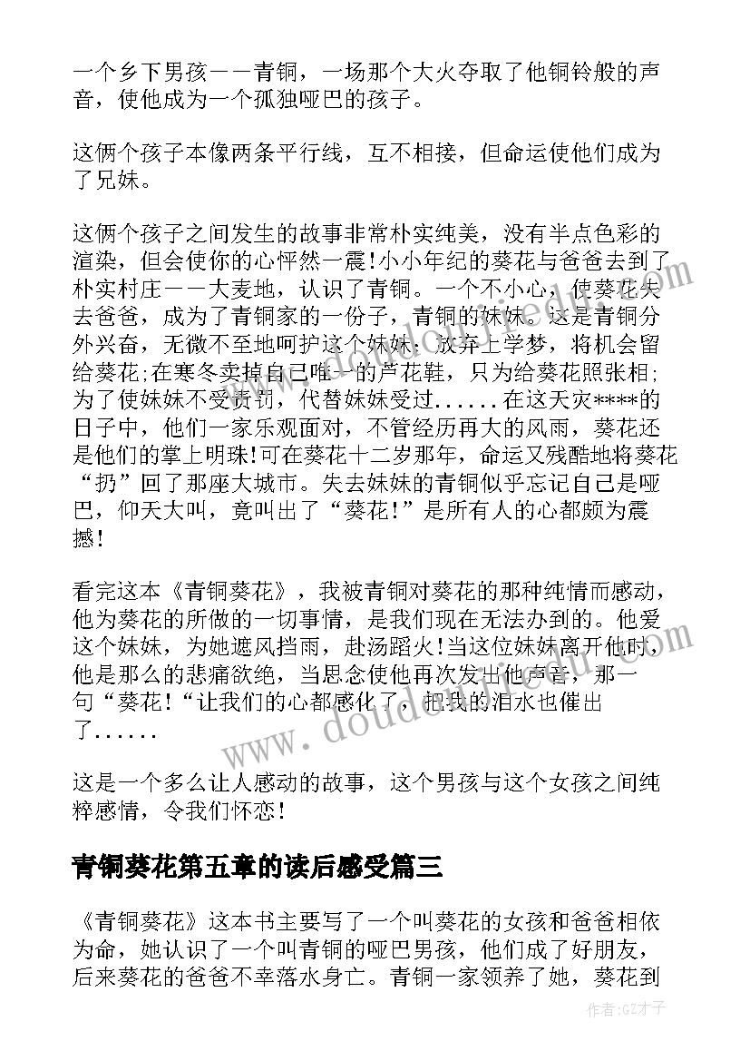 2023年青铜葵花第五章的读后感受(模板5篇)