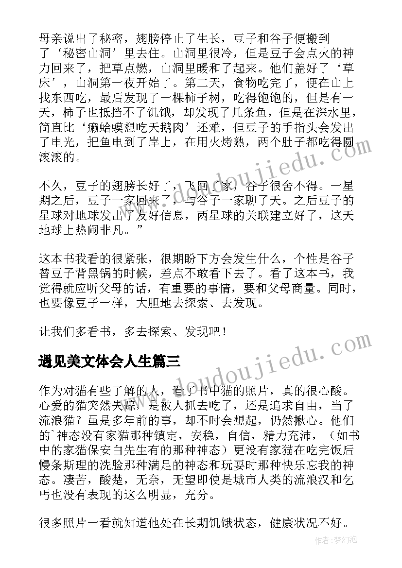 最新遇见美文体会人生(大全5篇)