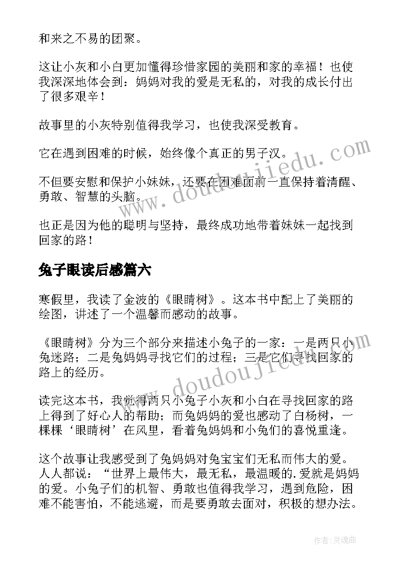 2023年兔子眼读后感 眼睛树读后感(模板9篇)