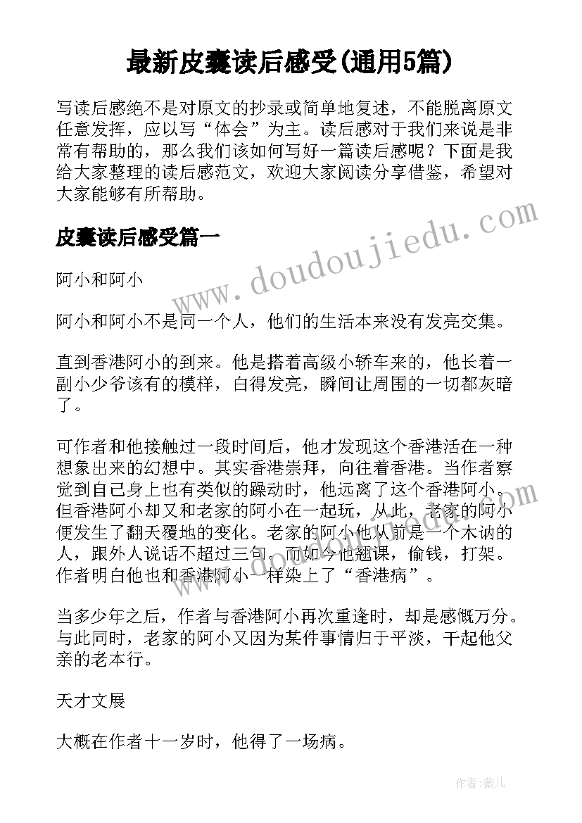 最新皮囊读后感受(通用5篇)