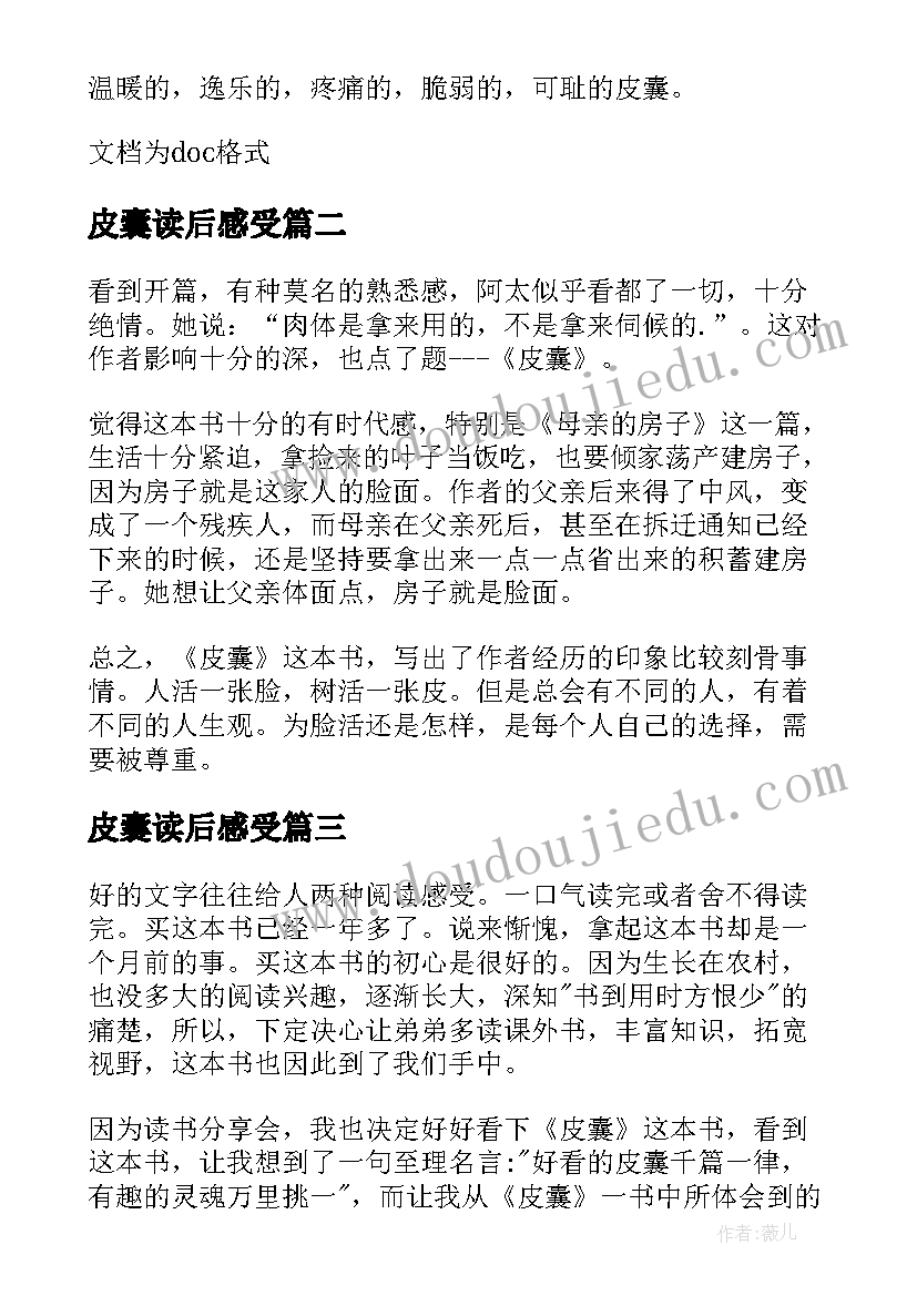 最新皮囊读后感受(通用5篇)