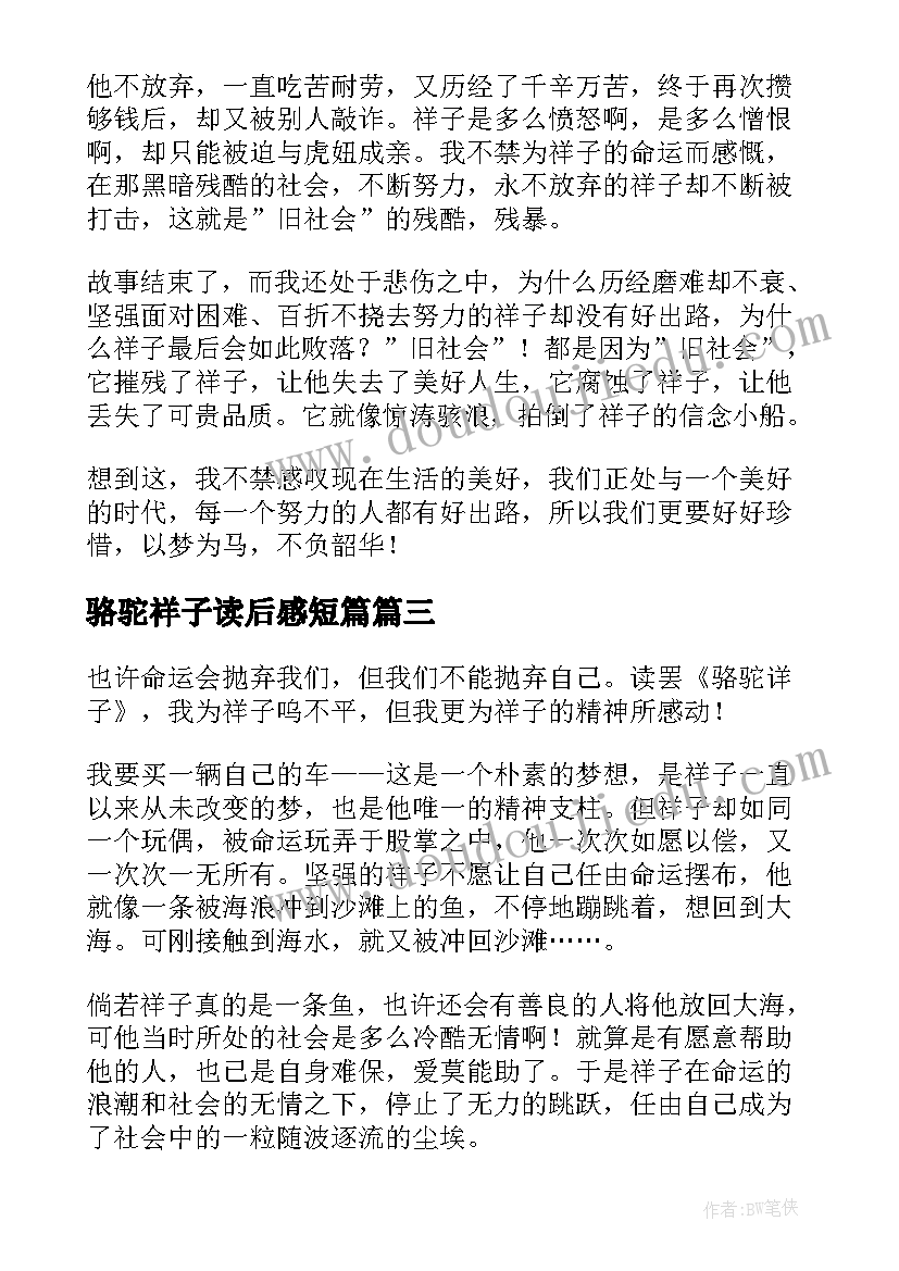 骆驼祥子读后感短篇 骆驼祥子读后感(大全6篇)