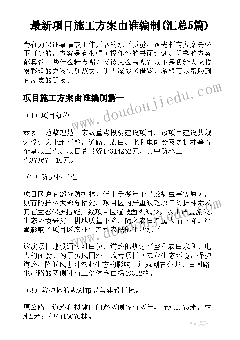 最新项目施工方案由谁编制(汇总5篇)