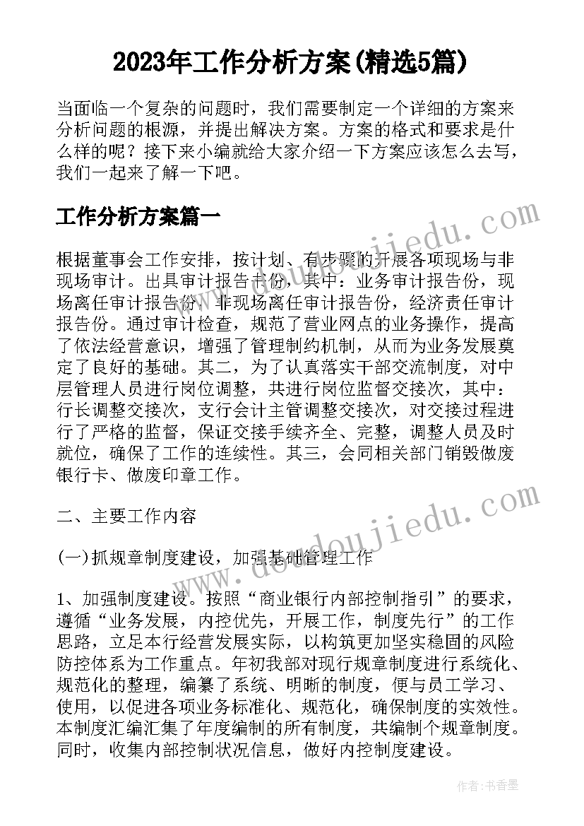 2023年工作分析方案(精选5篇)